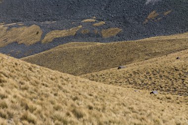 Volkan nevada de toluca içinde Meksika krater gölleri ile