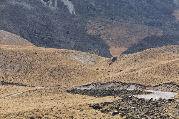 Vulkan nevada de toluca med sjöar inuti kratern i mexico — Stockfoto