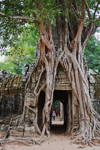 Ancient khmer civilisation, temples of Angkor Wat complex, Cambodia — Stock Photo, Image