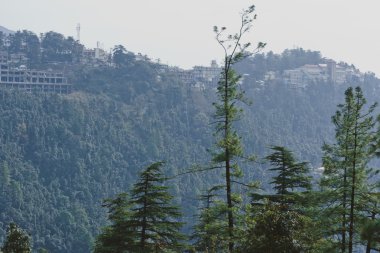 Dharamsala Şehir Manzaralı