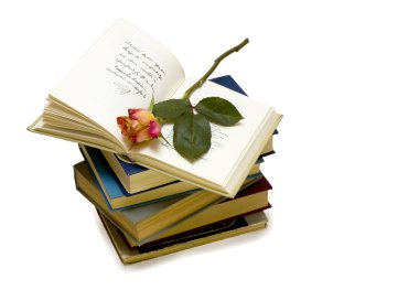 Açık kitap üzerine bir gül ile.