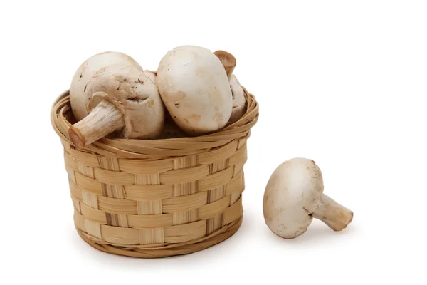 Funghi di campo in un cesto su uno sfondo bianco — Foto Stock