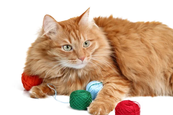 Playful red cat is playing with a ball of thread — Stock Photo, Image