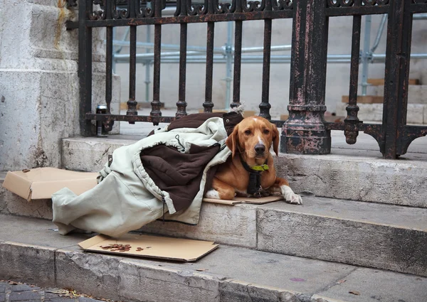 en sevecen kişi benim ustası