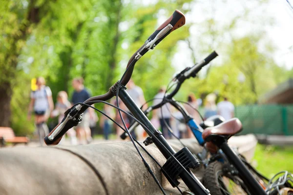 Andare in bicicletta — Foto Stock