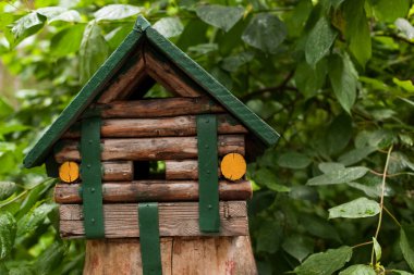 Sincaplar için besleyici