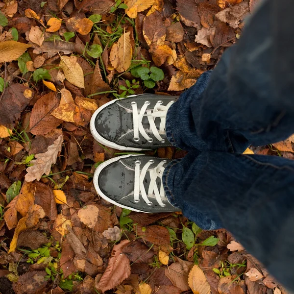 Feet in wet sneakers — Stock Photo, Image