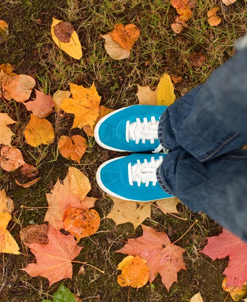 Tênis azuis nas folhas de outono — Fotografia de Stock