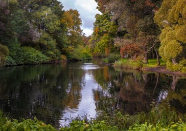 parlak sonbahar manzara