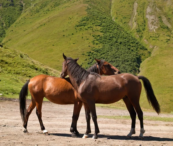 Liebespaar — Stockfoto