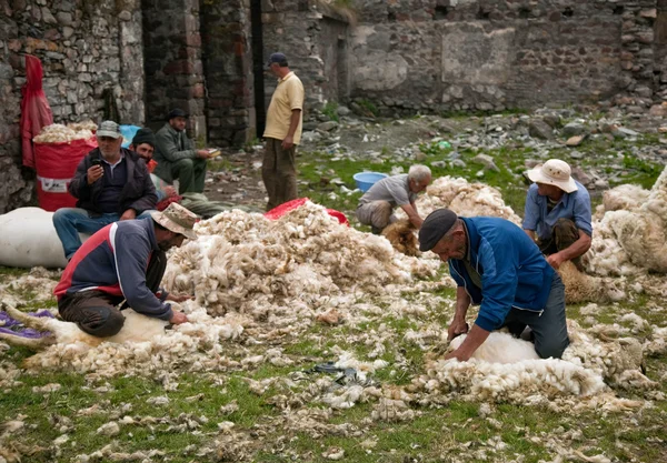 Shepherds in the Georgian village, editorial — Stock Photo, Image