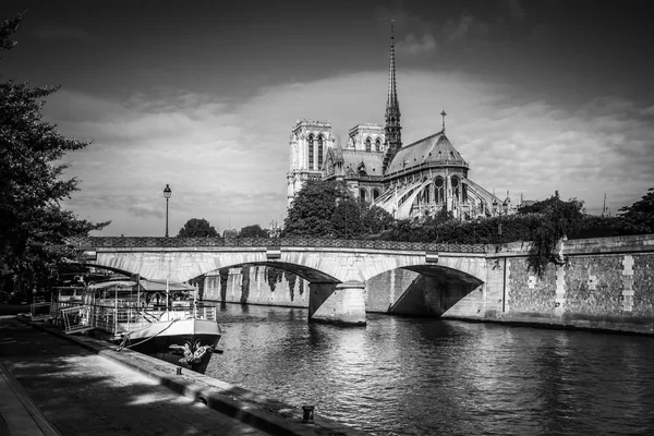 Seine ve notre-dame de paris — Stok fotoğraf