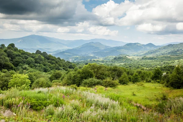 Peisaj de vară în Georgia — Fotografie, imagine de stoc