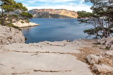 Deniz ve çam ağaçları içinde calanques