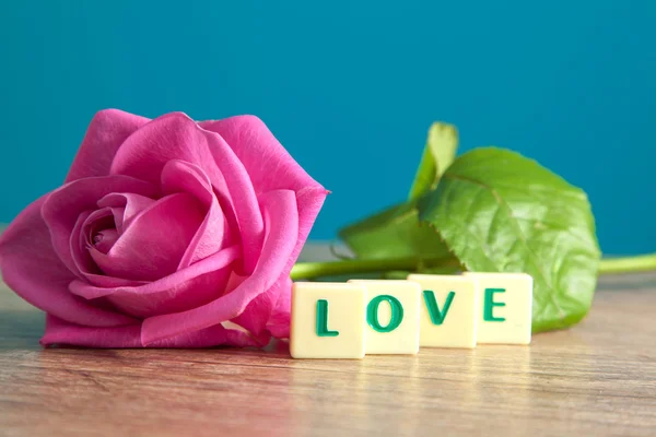 La parola amore e rose rosa — Foto Stock