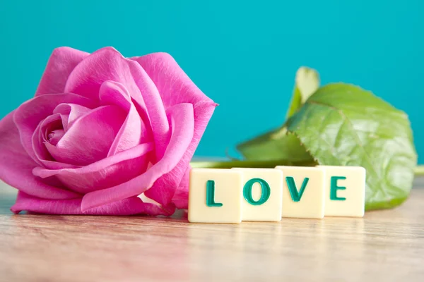 La palabra amor y rosas rosadas — Foto de Stock