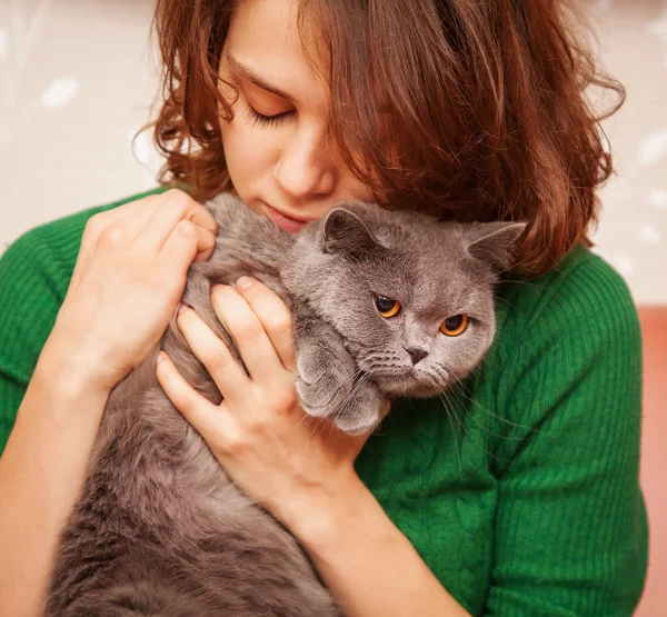 İngiliz kedi kız ve gri