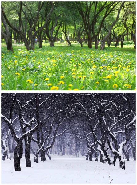 Sommer und Winter — Stockfoto