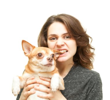 chihuahua köpek izole olan güzel kadın