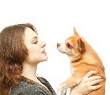 chihuahua köpek izole olan güzel kadın