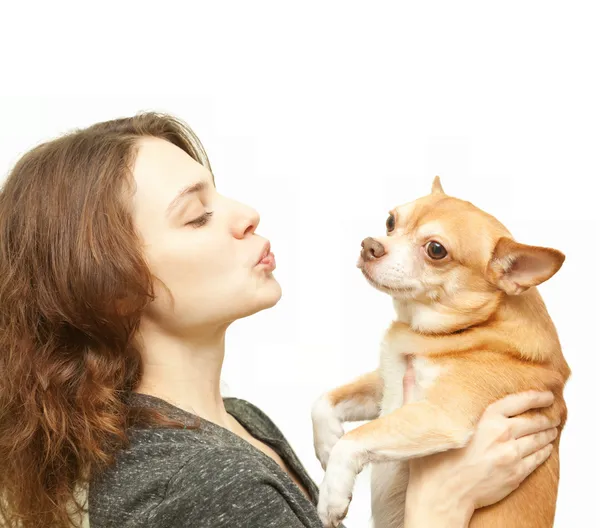 chihuahua köpek izole olan güzel kadın