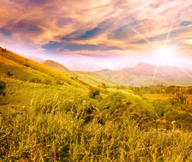 beau coucher de soleil lumineux avec les rayons du soleil dans une vallée de montagne