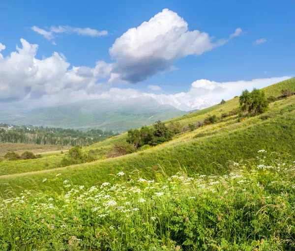 Beau paysage estival lumineux avec ciel bleu dans une vallée verte — Photo