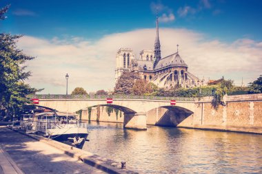 seine ve notre dame Katedrali