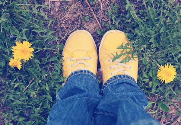 Sapatilhas amarelas na grama verde — Fotografia de Stock