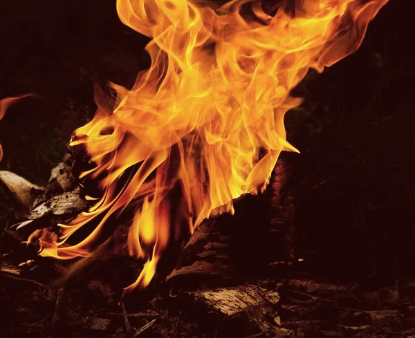 Φλόγες της μια φωτιά τη νύχτα, σε σκούρο φόντο — Φωτογραφία Αρχείου