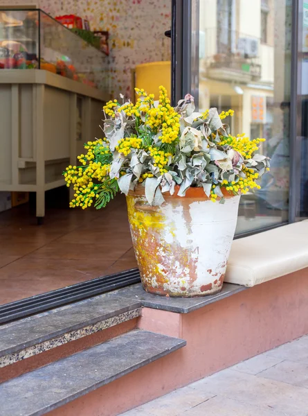 在咖啡厅入口处的花朵 — 图库照片