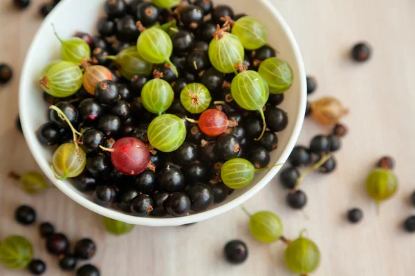 Berries of black currant and gooseberry green in a white bowl, t — Stock Photo, Image