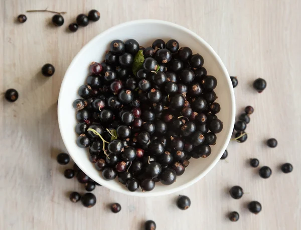 Bayas de grosella negra en plato blanco, enfoque suave — Foto de Stock