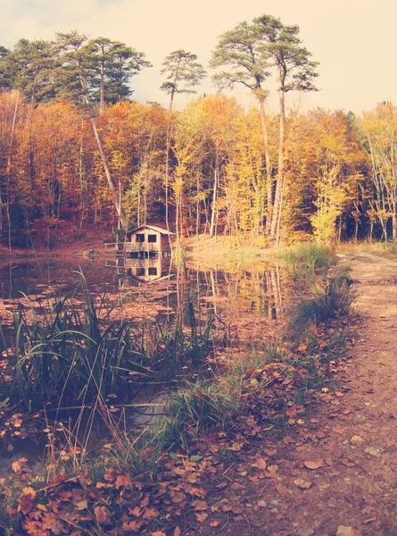 Paisaje otoñal, casita cerca del lago en el bosque —  Fotos de Stock