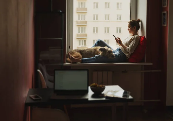 Freelancer Mulher Jovem Sentado Casa Com Cão Olhando Para Tela — Fotografia de Stock