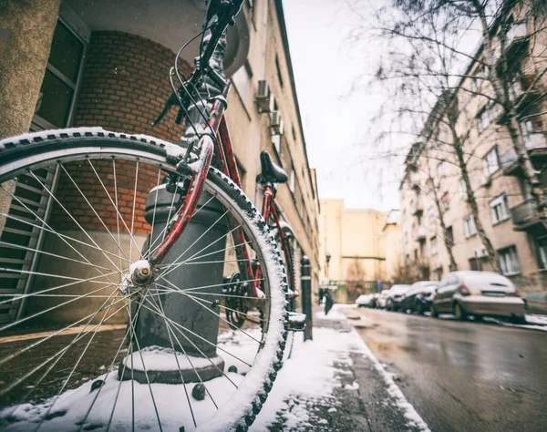 Велосипед Снегу Зимней Улице Европейском Городе Экологичный Транспорт Велосипедная Структура — стоковое фото