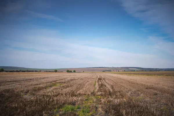 Beau Paysage Rural Automne Champ Après Récolte Champ Labouré Ciel — Photo