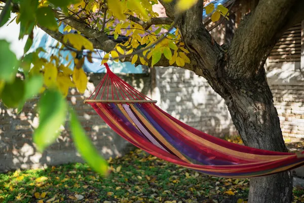 秋天的一天 一个色彩艳丽的吊床挂在一座乡村房屋后院的一棵树上 高质量的照片 — 图库照片