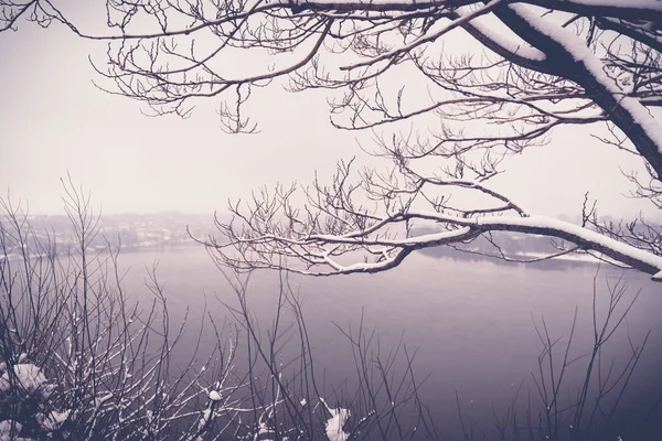 美丽的冬季风景，白雪覆盖的树枝和从山上眺望的河流 — 图库照片