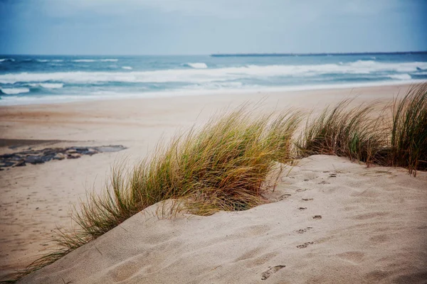 Zandduinen met gras aan de kust van de Atlantische Oceaan in Portugal. Prachtig zeelandschap — Stockfoto