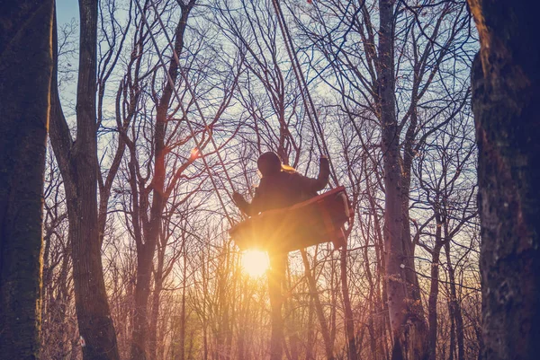 Young Woman Swinging Swing Autumn Forest Sunset Flying Happiness Freedom — Stock Photo, Image