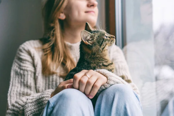 집에서 고양이와 스웨터를 창가에 — 스톡 사진