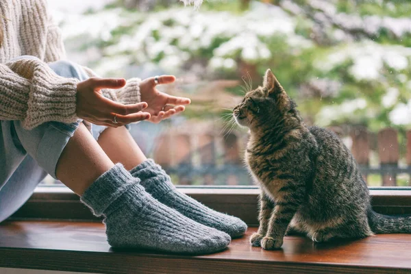 Una chica en un suéter y calcetines de lana extendiendo sus manos a un gatito gris mientras está sentada en un alféizar de ventana en un día de invierno nevado — Foto de Stock