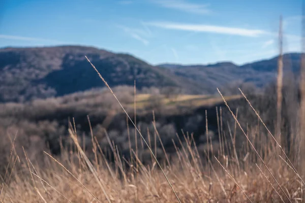 Abstract blur nature background, spring mountain forest — Stock Photo, Image