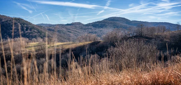 Bright beautiful landscape, spring hills and meadows in the sun — Stock Photo, Image