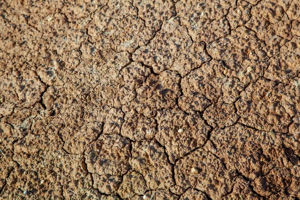 Dry Cracked Earth Shot Drought Ecology Problems Concept — Stock Photo, Image