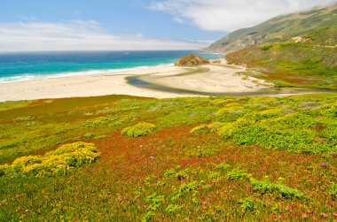 gelgit big sur, california, bir kumsalda