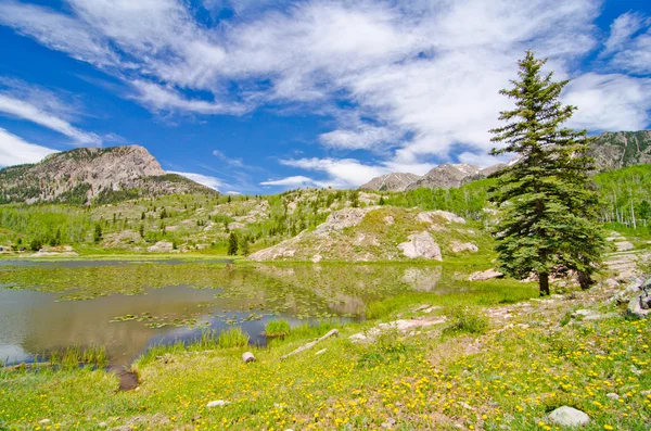 Lagoa de castor nas Montanhas San Juan no Colorado — Fotografia de Stock