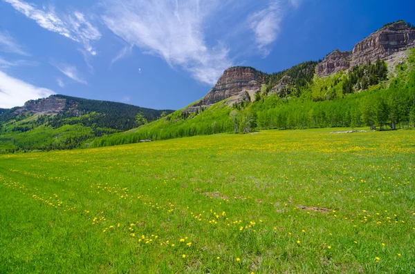 Pasture in the San Juan Mountains in Colorado — Stock Photo, Image