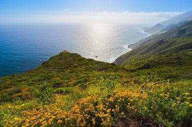 doğal manzara california devlet yolu 1